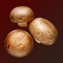 Huba Shiitake